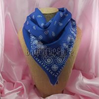 Bandana Azul Francia