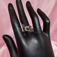 Anillo 15 años N° 18 (1115)