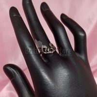 Anillo Delfines Doble N° 17 (1147)