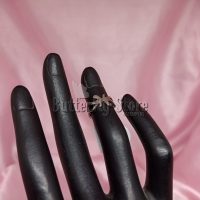 Midi H N° 13 (1193)