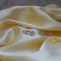 Anillo Acuario N° 19 (1357)