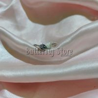 Midi Saturno N° 15 (1700)